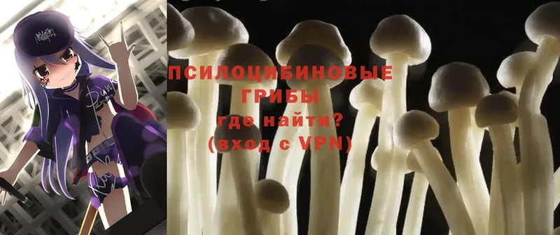 мега рабочий сайт  купить   Великий Устюг  Псилоцибиновые грибы Magic Shrooms 